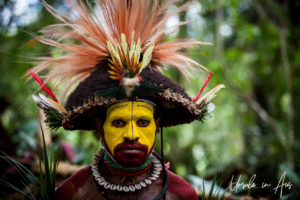 Huli Wigman in full paint and headdress, Paiya Village Papua New Guinea