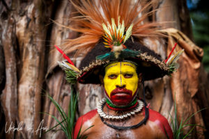 Portrait: Huli Wigman In the Jungle, Paiya Village Papua New Guinea