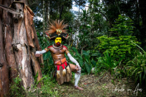 Huli Wigman In the Jungle, Paiya Village Papua New Guinea