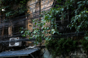 Green leaves and powerlines on textured building, Bangkok Thailand
