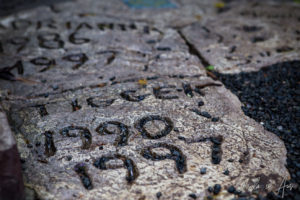 Dated flagstones for deceased cats, the Hemingway House, Key West Florida USA