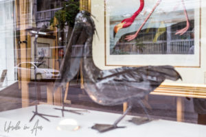 American pelican sculpture in a window reflecting a Key West street, Audubon House, Florida USA