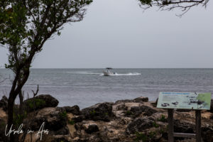 Motor Boat on the waters off the Crane Point, Marathon Key, Florida USA