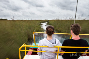 Back of the heads of a couple riding an Everglades Airboat, Florida USA