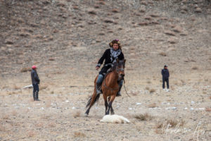 Kazakh eagle hunter horseback with a sheep carcass on the groundGolden Eagle Festival, Olgii Mongolia