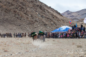Two horseback Kazakh eagle hunters fighting over a sheep, Golden Eagle Festival, Olgii Mongolia