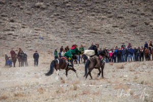 Two horseback Kazakh eagle hunters fighting over a sheep, Golden Eagle Festival, Olgii Mongolia