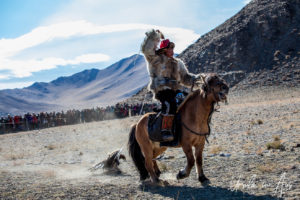 Eagle Hunter on his horse; eagle on the dummy-fox behind him, Golden Eagle Festival, Olgii Mongolia