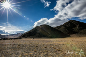 Eagle hunter in a Sun Flare on the fair grounds, Golden Eagle Festival, Olgii Mongolia
