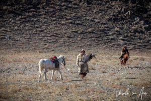 Eagle Hunter carrying his eagle, leading his Horse, Golden Eagle Festival, Olgii Mongolia