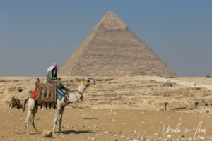 Camel and rider in front of the Pyramid of Khafre, Giza Egypt