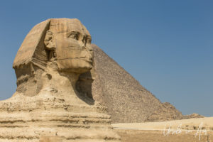 Head of the sphinx, Giza Egypt