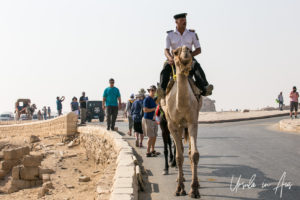 Egyptian official on the back of a camel, Giza