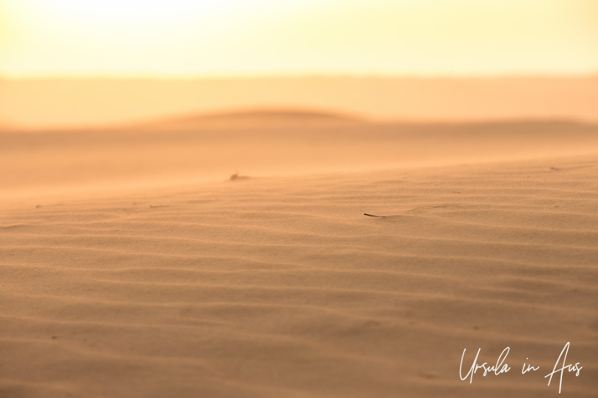 Sand Songs And Desert Dreams The Sharqiya Sands Desert Oman Ursula S Weekly Wanders