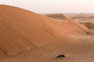 Desert dunes, Wahiba Sands, Oman