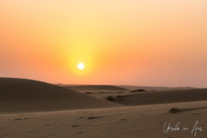 Setting sun on desert dunes, Wahiba Sands, Oman