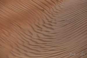 Patterns in the desert dunes, Wahiba Sands, Oman