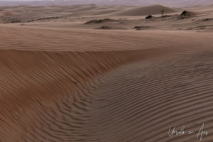 Patterns in the desert dunes, Wahiba Sands, Oman