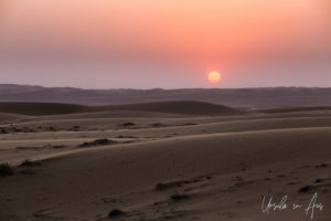 Setting sun on desert dunes, Wahiba Sands, Oman