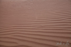 Patterns in the desert dunes, Wahiba Sands, Oman