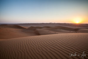 Sunrise over the desert dunes, Wahiba Sands, Oman