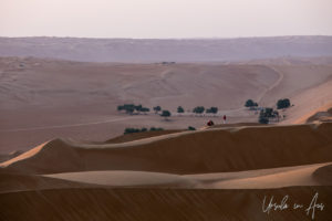 Morning on the Dunes, Wahiba Sands, Oman