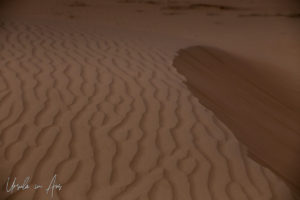 Patterns in the desert dunes, Wahiba Sands, Oman