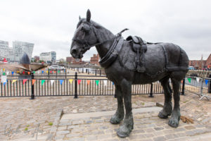 Statue: Waiting: The Monument to the Liverpool Working Horse by Judy Boyt, UK