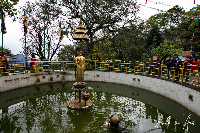 Buddha in the entry pond, Swayambhunath, Kathmandu Valley Nepal