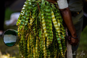 Costume tail-feathers of animals, Jiwaka Province, Papua New Guinea
