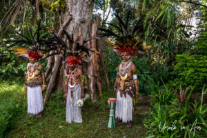 Jiwaka Province Tribal Dancers in Paiya Village, Papua New Guinea