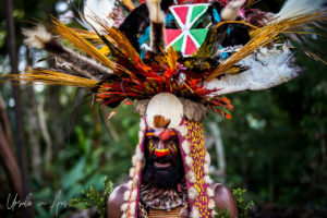 Tribal Warrior in shells and headdress, Jiwaka Province, Papua New Guinea