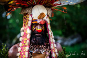 Tribal Warrior in shells and headdress, Jiwaka Province, Papua New Guinea