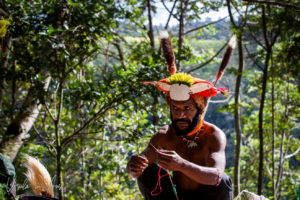 Western Highland man building his headdress, Papua New Guinea