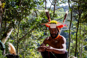 Western Highland man building his headdress, Papua New Guinea