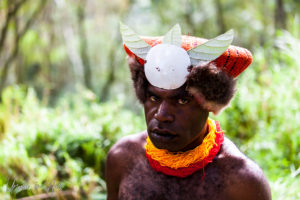 Portrait Western Highland Warrior, Papua New Guinea