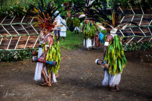 Tribal dancers from Jiwaka Province in traditional costume, Papua New Guinea