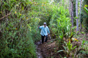 Papuan man, Western Highlands, Papua New Guinea
