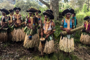 Engan Dancers in traditional costume, Western Highlands, Papua New Guinea