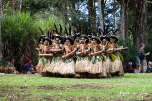 Engan Dancers in traditional costume, Western Highlands, Papua New Guinea