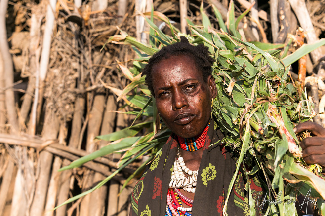 Armore Woman with animal feed, Omo Valley Ethiopia