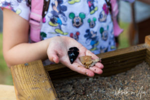Child's hand holding an arrowhead and stones, Water Flume, Hocking Hills State Park, Ohio