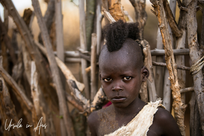 Portrait: Young Hamar boy, partially shaved for his initiation, Omo Valley Ethiopia