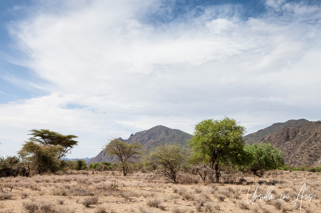 Landscape in Hamar territory, Omo Valley Ethiopia