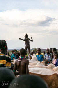 Young Hamar boy doing his cattle jumping, Omo Valley Ethiopia