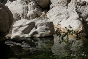 Boulders in a stream, Wadi Bani Khalid, Oman