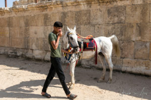 Horse and Handler, Hippodrome, Jerash Jordan