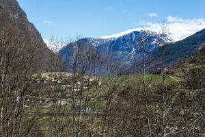 Flåm Village though the trees, Norway