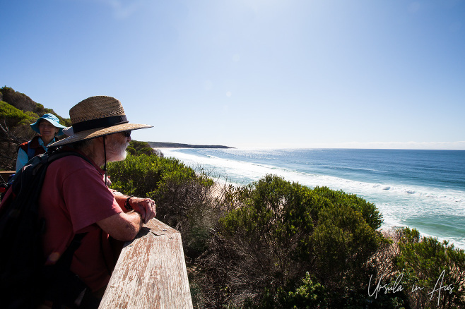 People on the viewing platform over Short Beach, NSW Australia