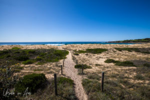 Ancient dune, Short Point Beach, NSW Australia